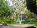 20110425_Paste 004